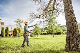 Columbus, KS Tree Care Services Company